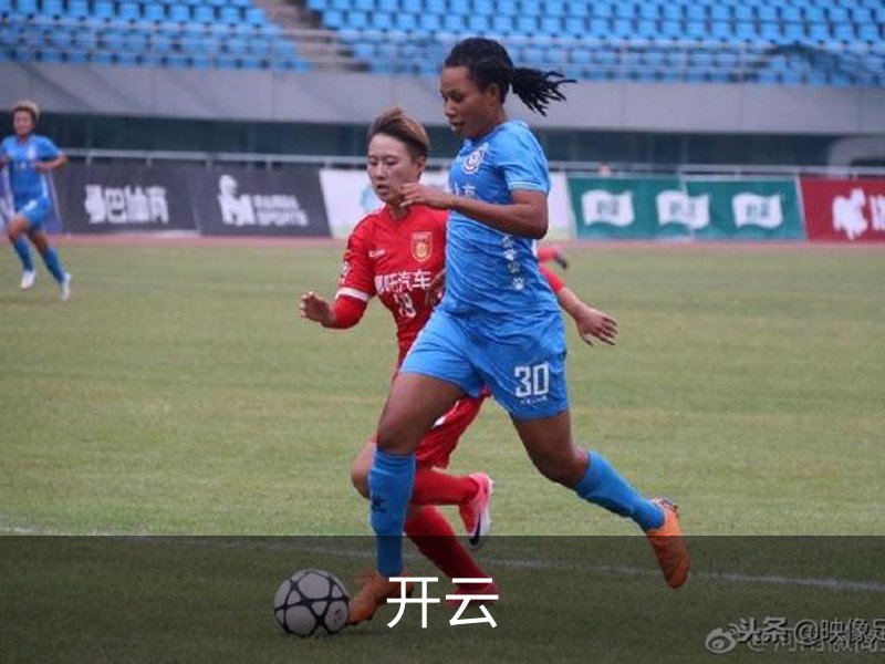 开云概况